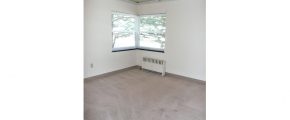 Unfurnished carpeted living room