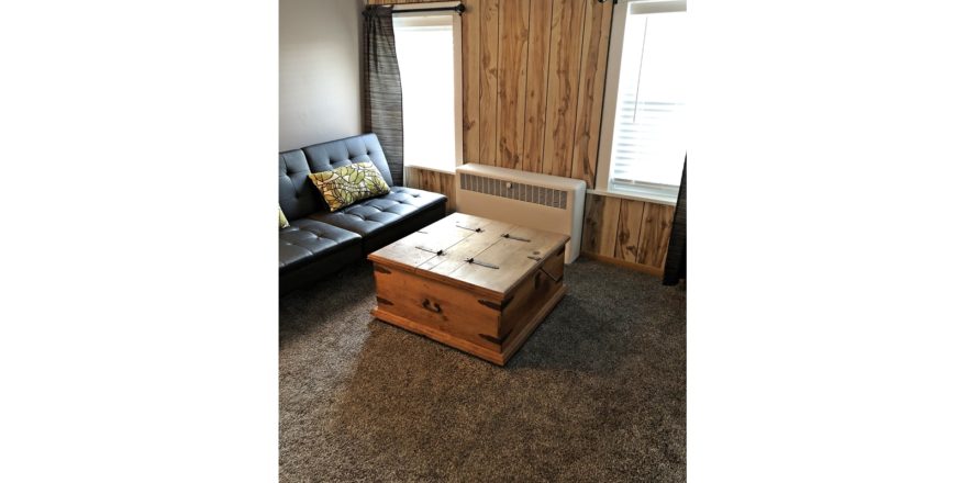 Den with leatherette futon and wooden chest coffee table