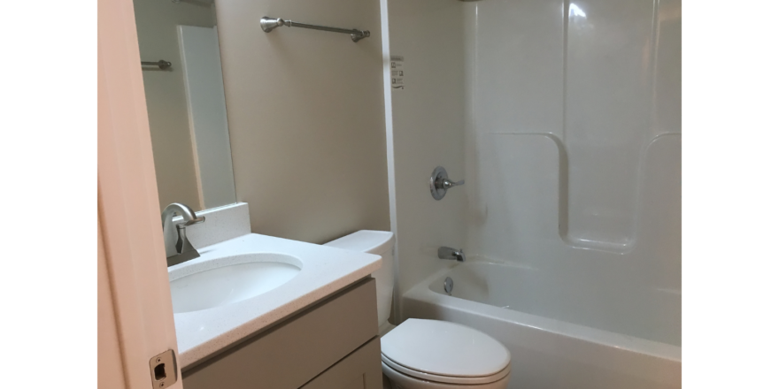 116 Deepwood Basement Bathroom