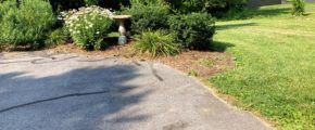 Driveway with bushes and birdbath