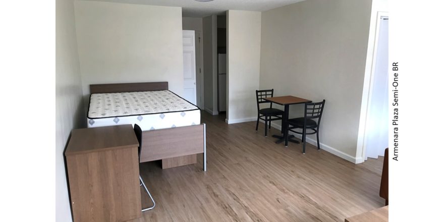 Living/sleeping area with desk, dining table, and full-size bed