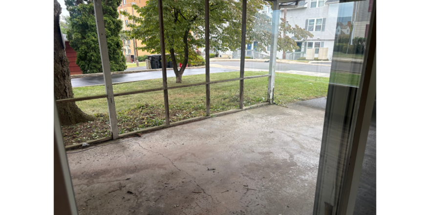 a room with a glass wall and a tree