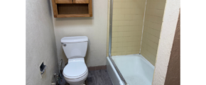 a bathroom with a toilet and a shower