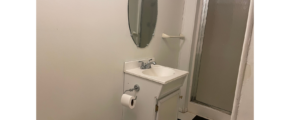 a bathroom with a sink, mirror, and shower