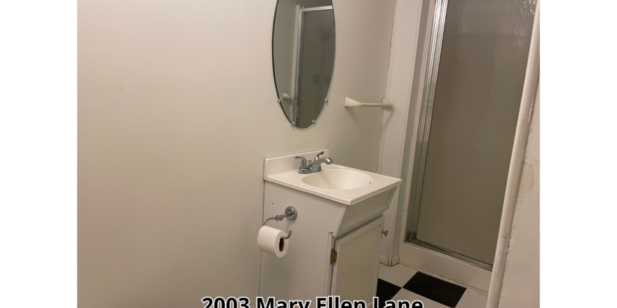 a bathroom with a sink, mirror, and shower