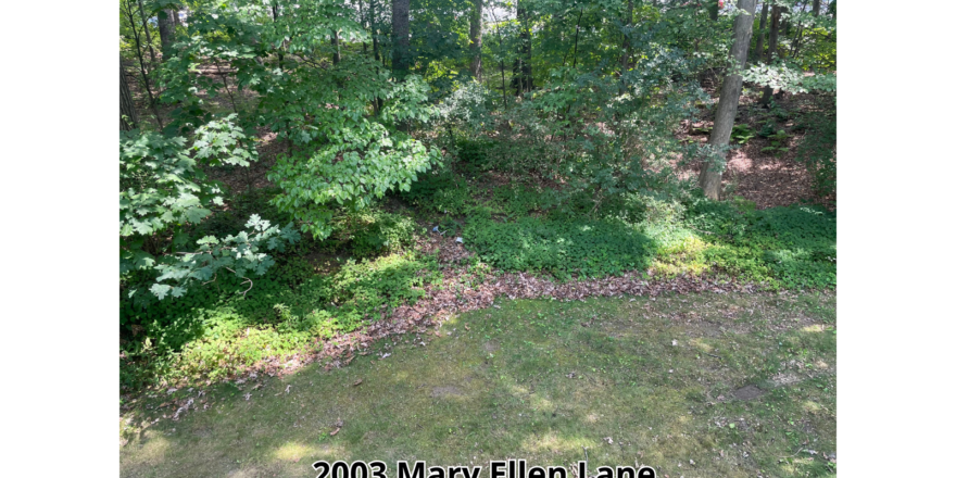 an aerial view of a wooded area with trees
