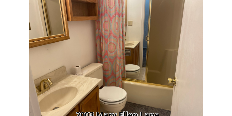 a bathroom with a sink, toilet, and shower