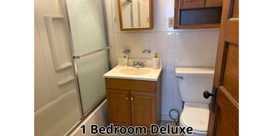 a bathroom with a sink, toilet, and shower