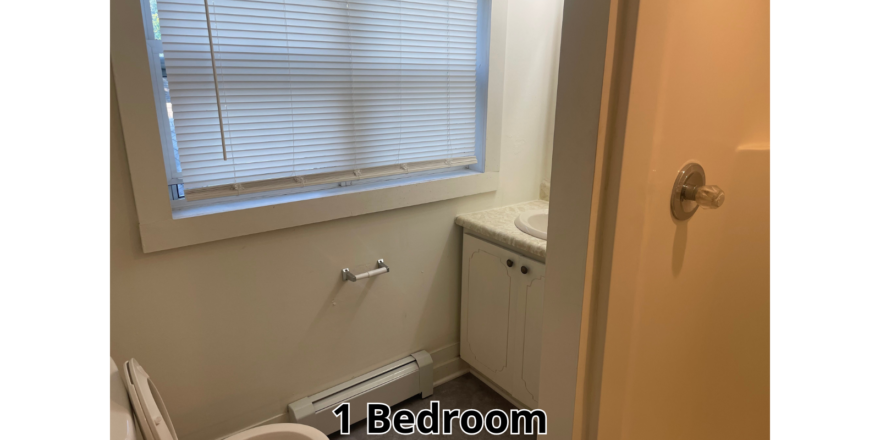 a bathroom with a toilet and a window