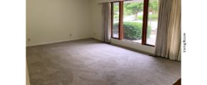 Carpeted living room with large picture window