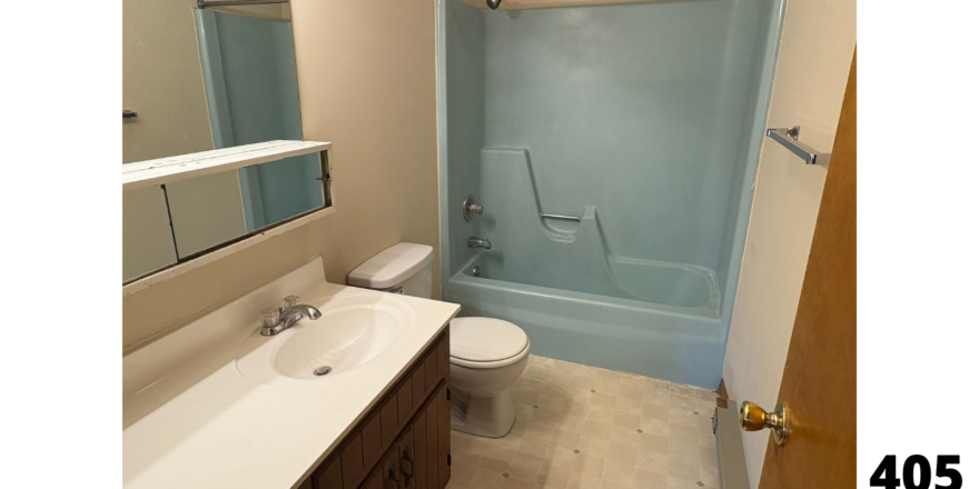 a bathroom with a sink, toilet, and shower