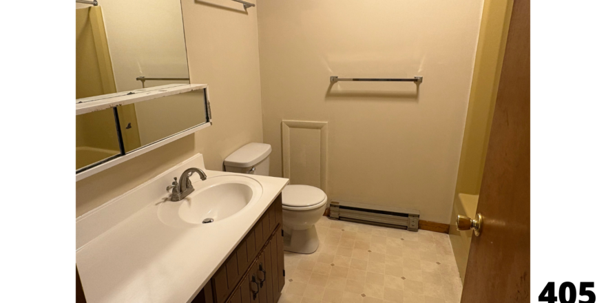 a bathroom with a toilet, sink, and mirror