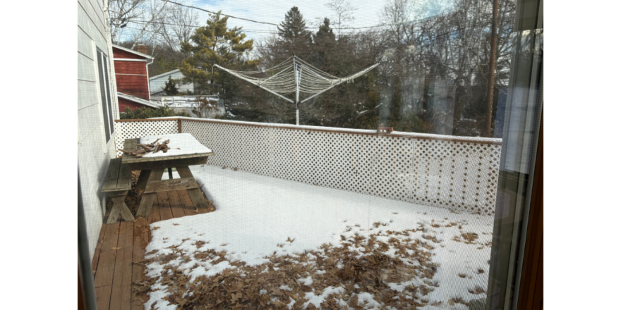 a view of a snow covered backyard from a window